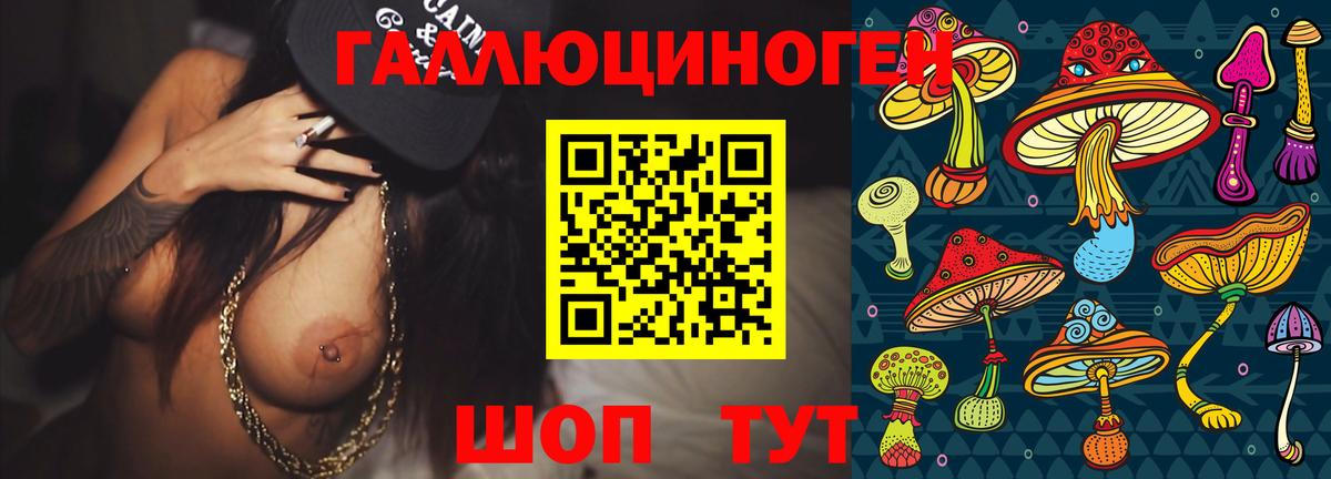 купить наркотик  Псилоцибиновые грибы Magic Shrooms  Кольчугино  Вход с VPN  Галлюциногенные грибы прущие грибы 